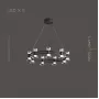 blasius-12-black