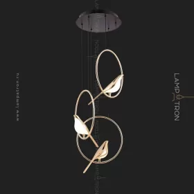 nomi-3-disc