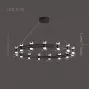 blasius-12-black