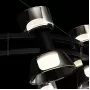 blasius-12-black