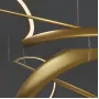 adonis-m-brass