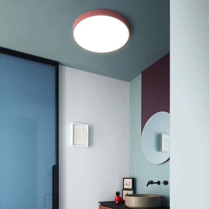 disc-col-grey-50