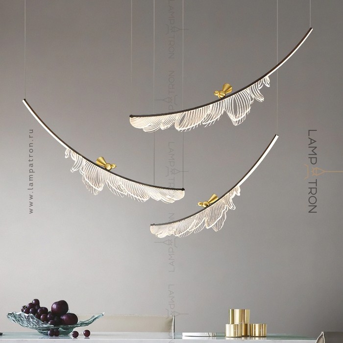 colibri-combo-2