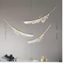 colibri-combo-2