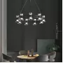 blasius-12-black