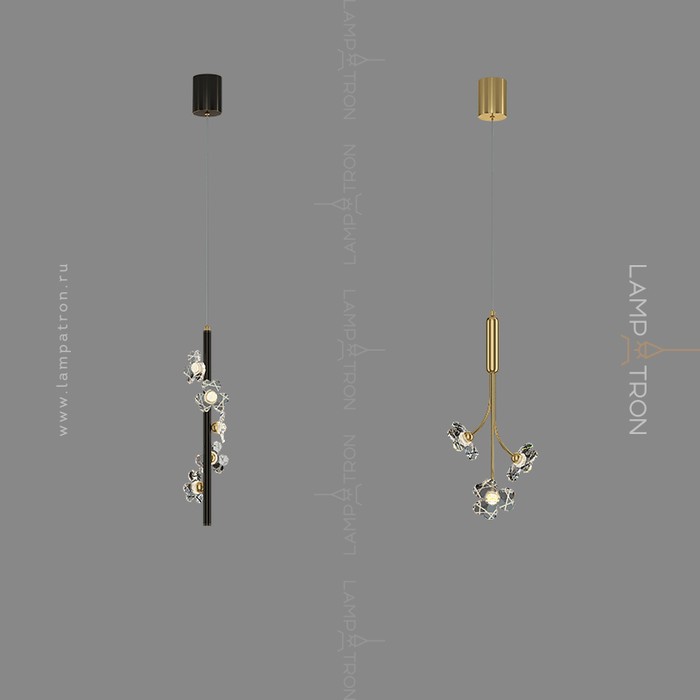 camilia-one-a-brass