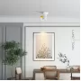 reston-plank-white-light-1