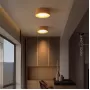 woodspot-light-out