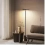 debby-light