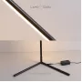 viel-white-tricolor-light