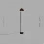 telse-light-wood