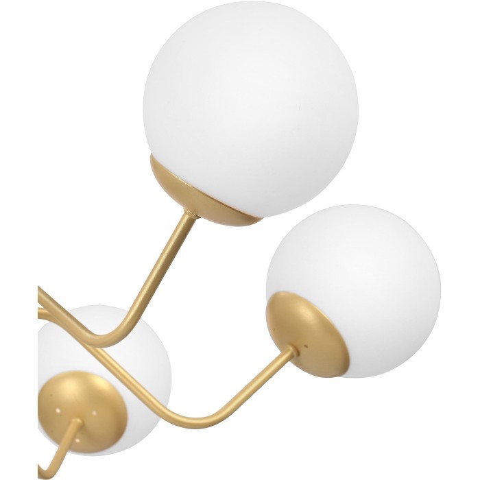 V4274-8/6PL