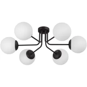 V4995-1/6PL