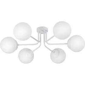 V4995-0/6PL