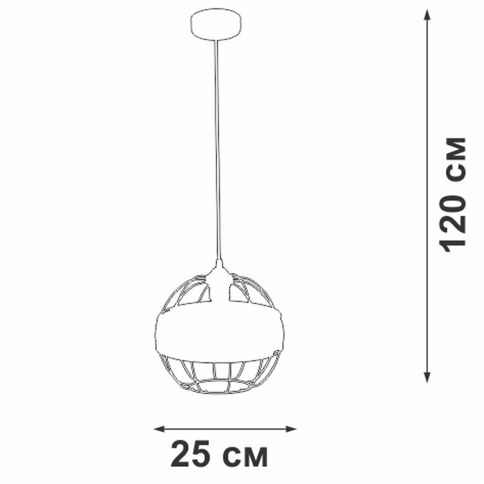 V3973-1/1S