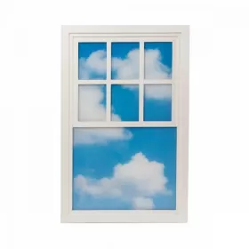 Loft Window