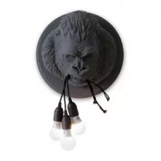 Ugo Rilla Grey