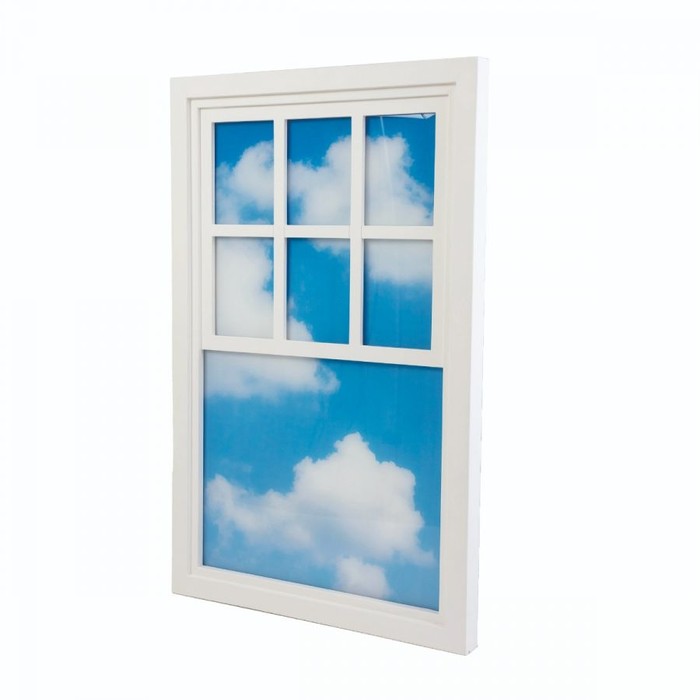 Loft Window