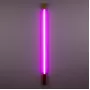 Superlinea Purple