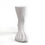 Сolossus Foot