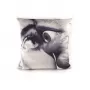 Toiletpaper Eye Mouth
