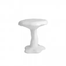 Amanita White