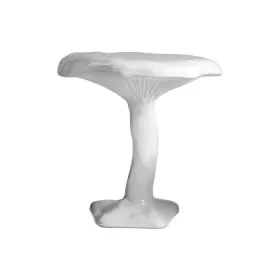 Amanita White
