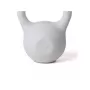 Kettlebell