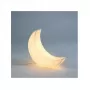 My Little Moon
