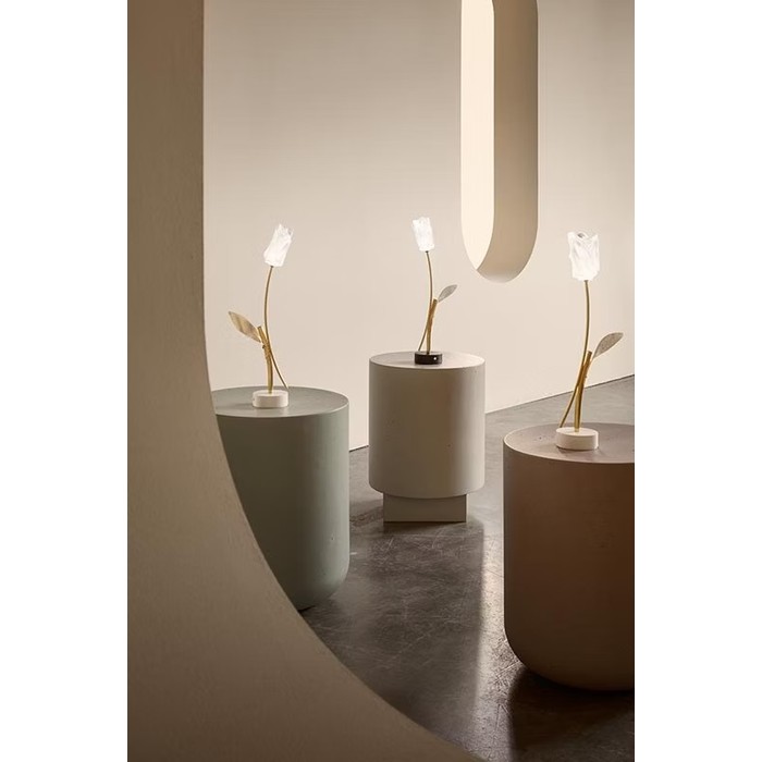 Tulip Battery black