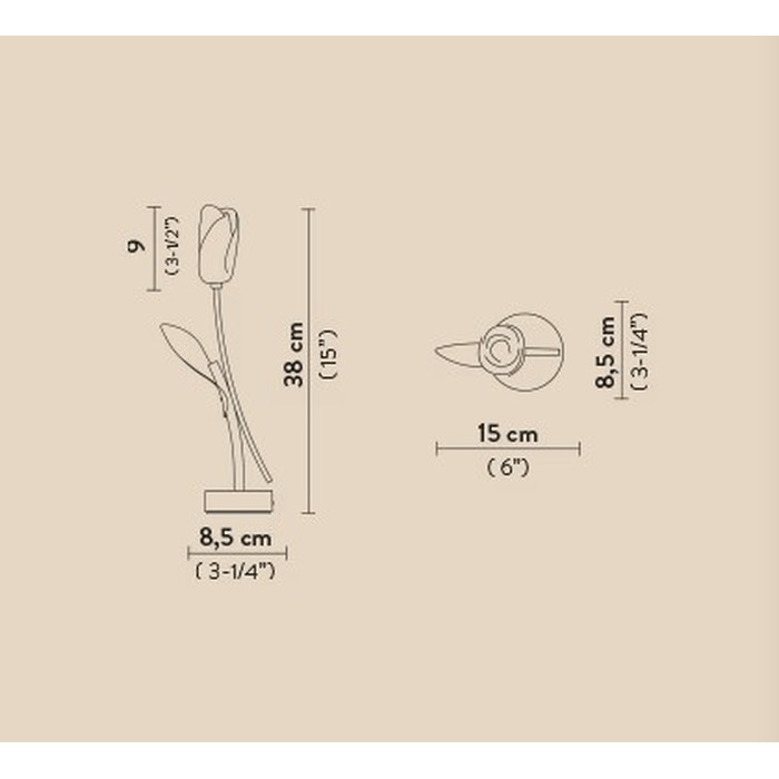 Tulip Battery black