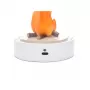 My Little Bonfire
