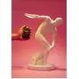 Discobolux