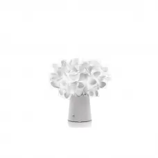 Clizia Mama Non Mama Battery white