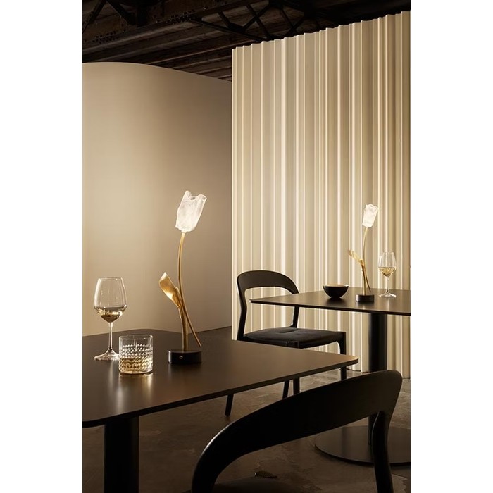 Tulip Battery black