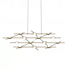 Molecular 14 black/gold