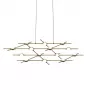 Molecular 14 black/gold