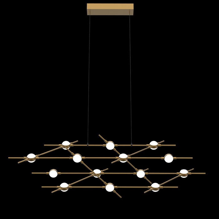 Molecular 14 black/gold