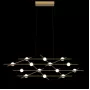Molecular 14 black/gold