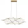 Molecular 14 black/gold