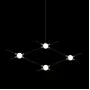 Molecular 4 black/gold