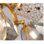 8898P/BS gold/smoky