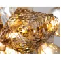 8898P/BS gold/smoky