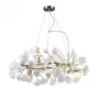 10881P/R800 gold/white