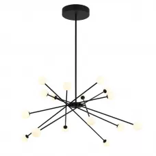 MD19001025-16A black