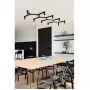 Crown Plana Linea