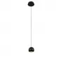 MD21001034-1A black/gold