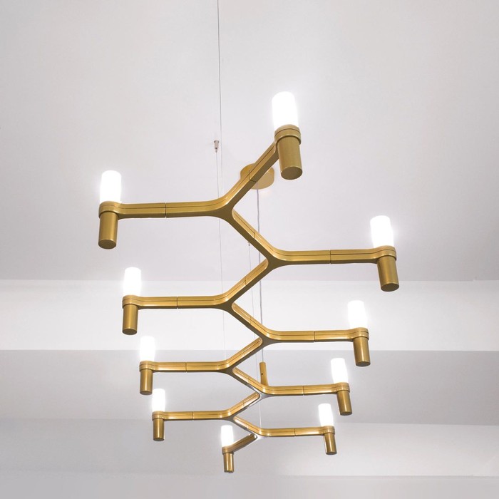 Crown Plana Linea