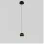 MD21001034-1A black/gold