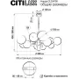 CL204190